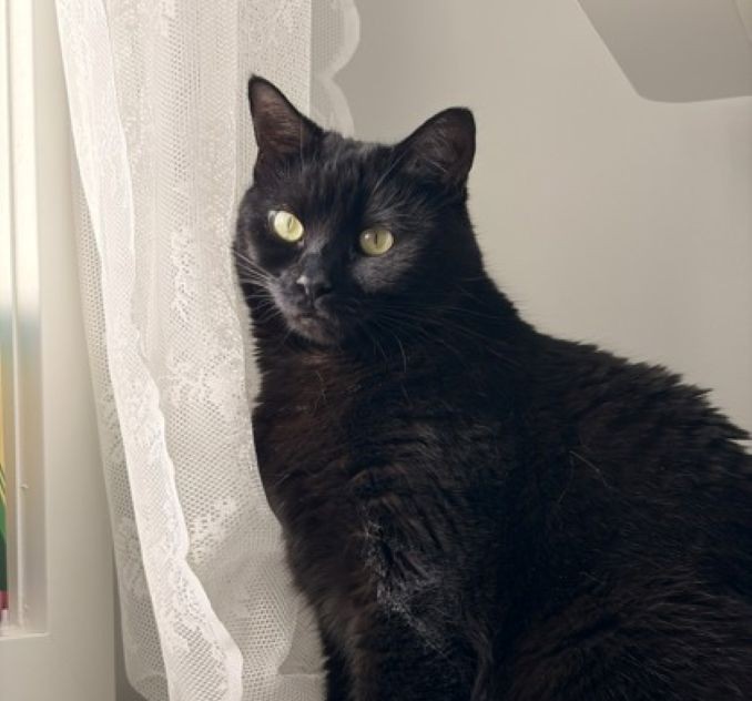 Carla