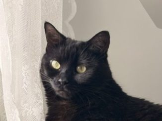 Carla