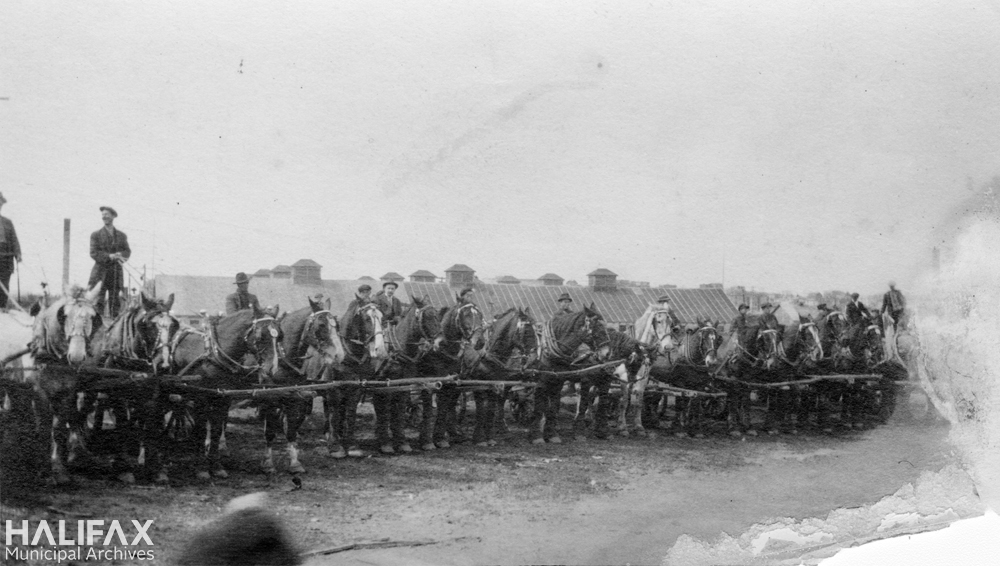 1918-Line of men on horse-drawn wagons, part of clean-up following the Halifax Explosion-Halifax Municipal Archives (HMA), John and Beatrice Alley photograph collection-CR16-63a